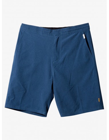 Quiksilver Volley Shorts 20" Amphibian Boardshorts du meilleur 