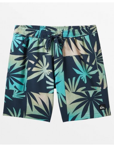 Quiksilver Volley Shorts 17" Elastic Waist Shorts Découvrez la collection