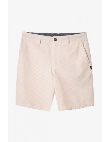 O'neill Men's Shorts 19" Hybrid Short plus qu'un jeu 